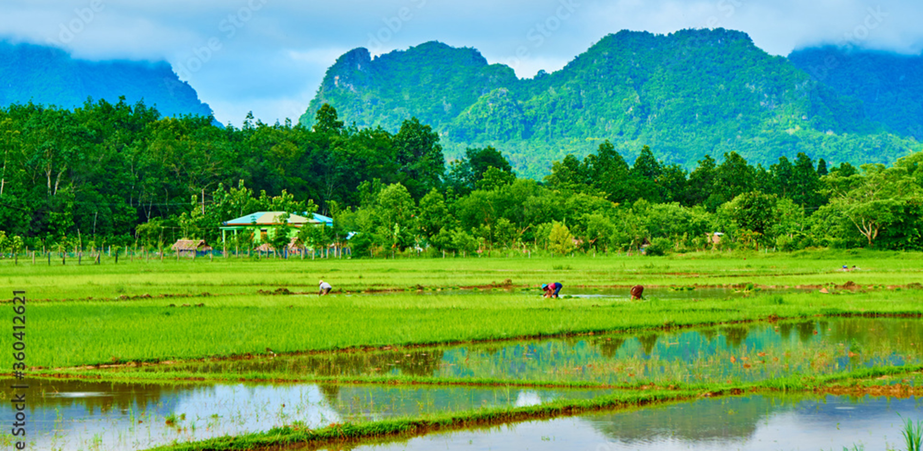 公司产品展示图